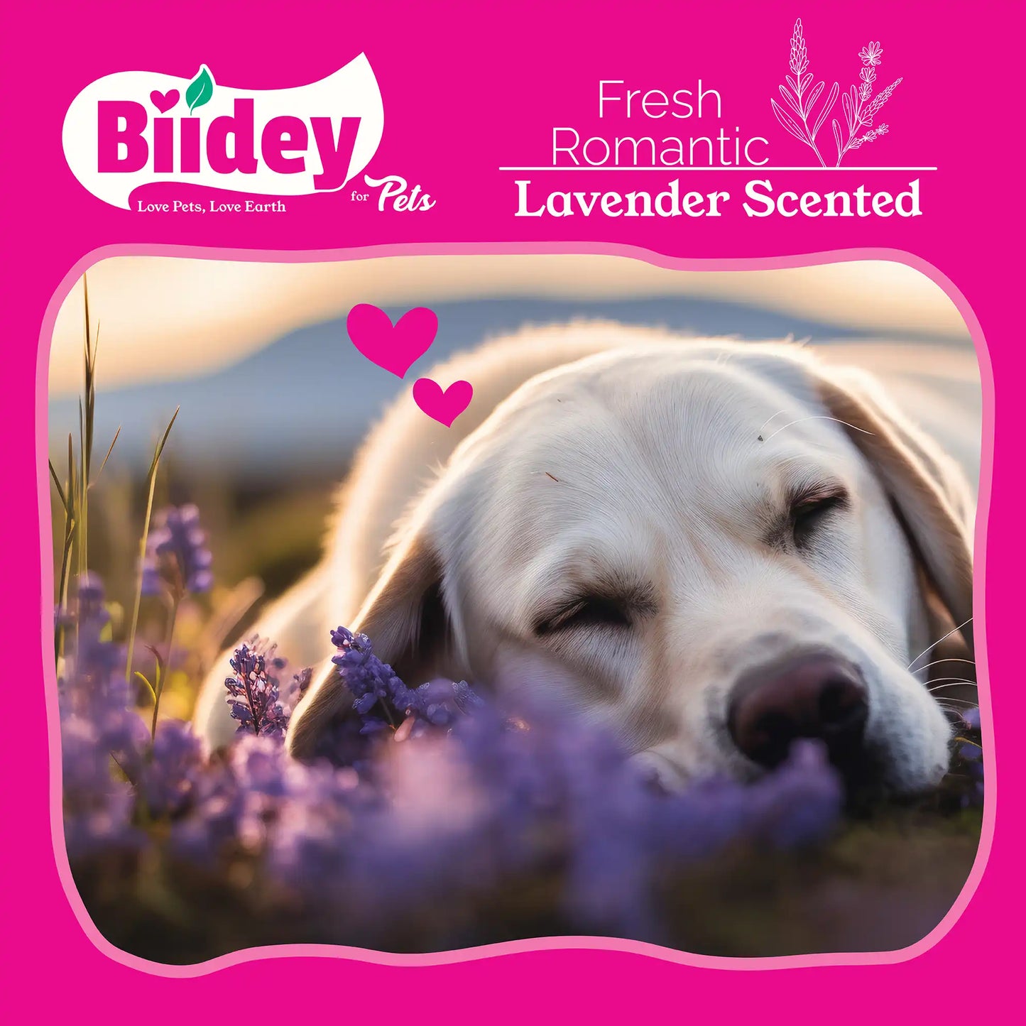 Biidey Large Dog Poop Bags Rolls Pink, Lavender Scented, XL Bulk,Pet Litter Waste Bags,Thick, Leak Proof,Tear Resistant,Odor control,Pet Supplies,Doggy Puppy, Love Heart,300 Count,20 Rolls