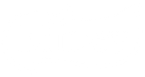 Biidey